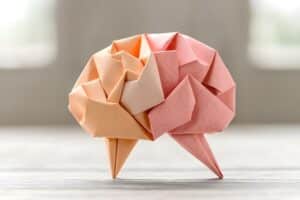 מה זה מוח גמיש