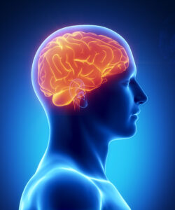 כימו בריין – איך טיפולים כימותרפיים משפיעים על המוח, ומה אפשר לעשות עם זה?