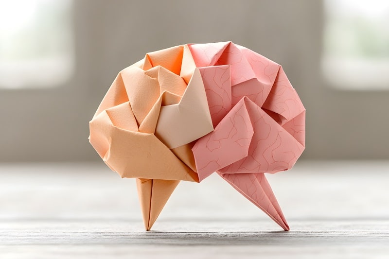 סוגי זיכרון במוח האדם. המדריך של אפקטיבייט